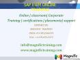 sap ewm online training PowerPoint PPT Presentation