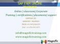 sap ewm online training PowerPoint PPT Presentation
