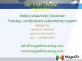 sap,ewm,online,training PowerPoint PPT Presentation