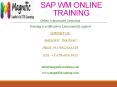 sap,wm online training PowerPoint PPT Presentation