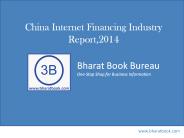 China Internet Financing Industry Report,2014