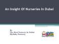 All You Need To Know About Nurseries In Dubai PowerPoint PPT Presentation
