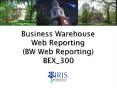 Business Warehouse PowerPoint PPT Presentation