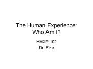 The Human Experience:  Who Am I?