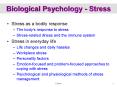 Biological Psychology - Stress PowerPoint PPT Presentation