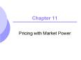 Pricing with Market Power PowerPoint PPT Presentation