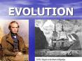 EVOLUTION PowerPoint PPT Presentation