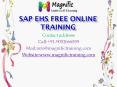 sap ehs free online training PowerPoint PPT Presentation