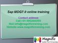 Sap MDG 7.0 online training PowerPoint PPT Presentation