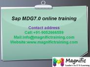 Sap MDG 7.0 online training