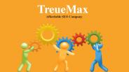 TreueMax - Affordable SEO Company