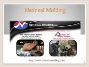 Plastic Mold-www.nationalmolding.com