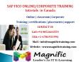 SAP FICO ONLINE-CORPORETE TRAINING  tutorials  in Canada PowerPoint PPT Presentation