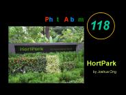 A Photo Album 118