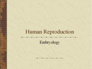 Human Reproduction