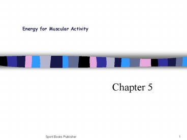 Energy For Muscular Activity