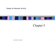 Energy For Muscular Activity