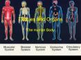 Tissues and Organs PowerPoint PPT Presentation