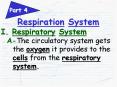 Respiration System PowerPoint PPT Presentation