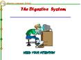 The Digestive System ______________________ PowerPoint PPT Presentation