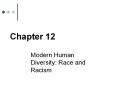 Modern Human Diversity: Race and Racism PowerPoint PPT Presentation