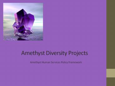 Amethyst Diversity Projects