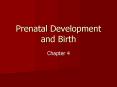 Prenatal Development and Birth PowerPoint PPT Presentation