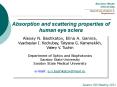 Absorption and scattering properties of human eye sclera PowerPoint PPT Presentation