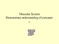 Muscular System Demonstrate understanding of concepts. PowerPoint PPT Presentation