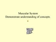 Muscular System Demonstrate understanding of concepts.