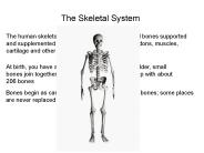The Skeletal System