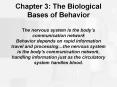 Chapter 3: The Biological Bases of Behavior The nervous system is the body PowerPoint PPT Presentation