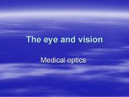 The eye and vision