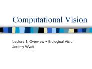 Computational Vision