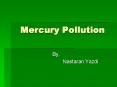 Mercury Pollution PowerPoint PPT Presentation