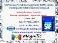 SAP treasury risk management(TRM) online training -free demo classes in usa,uk