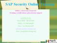 sap security online training canada,dubai PowerPoint PPT Presentation