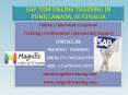 SAP TRM ONLINE TRAINING IN PUNE,CANADA ,AUSTRALIA PowerPoint PPT Presentation