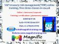 SAP treasury risk management(TRM) online training -free demo classes in usa,uk