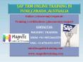 SAP TRM ONLINE TRAINING IN PUNE,CANADA ,AUSTRALIA PowerPoint PPT Presentation