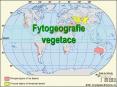 Fytogeografie vegetace PowerPoint PPT Presentation