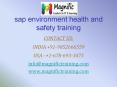 sap environment health and safety training PowerPoint PPT Presentation