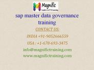 sap master data governance training