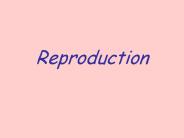 Reproduction