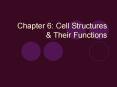 Chapter 6: Cell Structures PowerPoint PPT Presentation