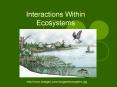 Interactions Within Ecosystems PowerPoint PPT Presentation
