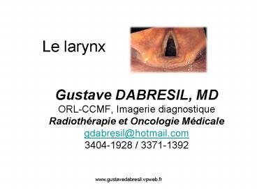 Le larynx