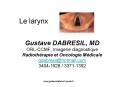 Le larynx PowerPoint PPT Presentation