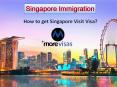 How to get Singapore Visit Visa? PowerPoint PPT Presentation