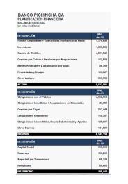 Banco Pichincha: Planificación Financiera y Resultados 2013